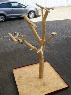 a tree made out of plywood is on display