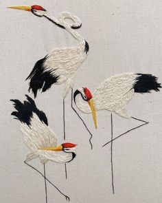 three white birds with black and red beaks are standing in front of each other