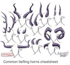 an image of different types of horns