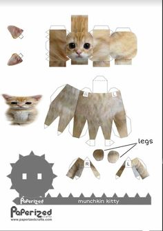 an image of paper crafting with cats and other things to make them look like they are