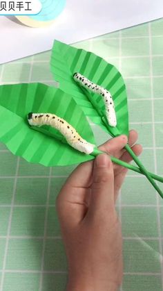 a hand holding a paper plate with two caterpillars on it