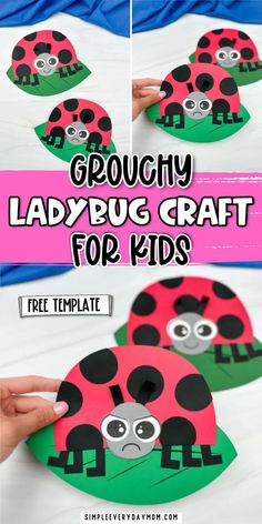 ladybug craft for kids to make with paper plates and glue on the outside