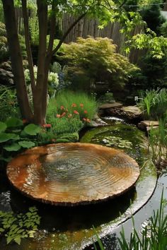 an outdoor pond surrounded by plants and trees