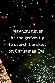 a christmas tree is lit up in the night sky with words on it that read, may you never be to grown up to search the skies on christmas eve