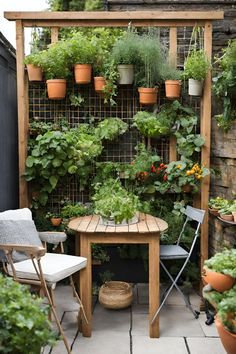 an outdoor table and chairs with potted plants on the wall behind it in a garden