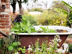 a bathtub filled with lots of plants next to a brick wall in the garden