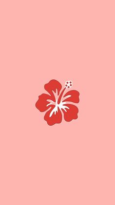 a red flower on a pink background