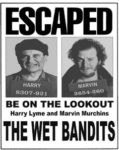 the wanted poster for harry lynne and marvin murchenss's escape