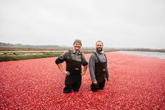 two men standing next to each other in the middle of a field with cranberries on it