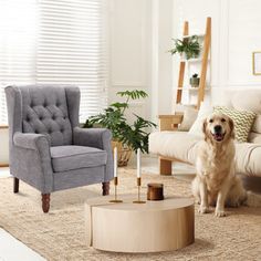 a dog sitting in the middle of a living room with two chairs and a coffee table