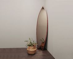 a mirror and potted plant on a wooden table