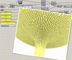 Mushroom Gills, Rhino Tutorial, Grasshopper 3d, Grasshopper Rhino, Organic Structure, Digital Fabrication, Parametric Design, 3dprinting Design