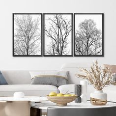 three black and white trees are hanging in the living room