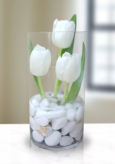 three white tulips in a glass vase filled with rocks