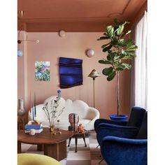 a living room filled with furniture and a potted plant