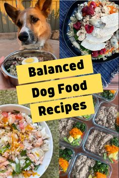 a collage of dog food pictures with the words balanced dog food recipes on them