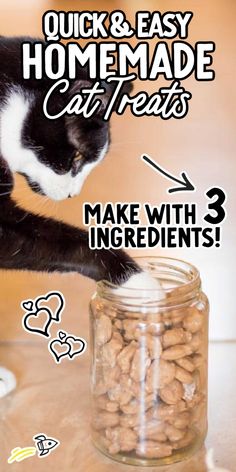 a black and white cat reaching into a glass jar filled with nuts that reads quick & easy homemade cat treats make with 3 ingredients