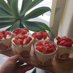 small desserts with strawberries are arranged on a tray near a potted plant