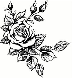 a black and white drawing of a rose