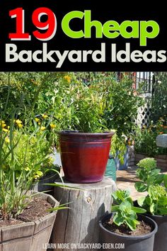 several potted plants sitting on top of a wooden post in front of a garden