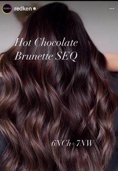 Rich Chocolate Brown Hair Formula, Dark Chocolate Brown Hair Formula, Chocolate Brown Formula, Hot Chocolate Hair, Toner Shades, Salon Board, Redken Formulas, Toner Formulas