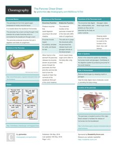 an image of the anatomy of the stomach and its functions in this diagram, you can see