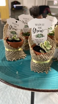 small succulents are wrapped in twine and placed on a blue plate