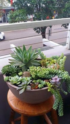 a potted plant sitting on top of a wooden stool