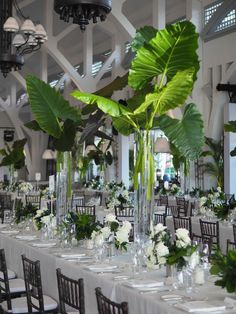 the tables are set with white flowers and greenery in tall vases on them