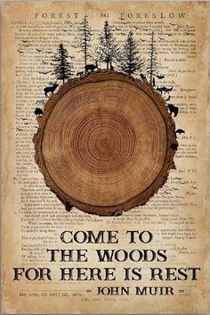 a tree stump with the words, come to the woods for here is rest john muhr