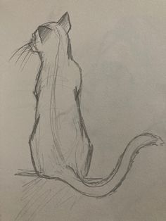 a pencil drawing of a cat sitting down