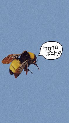 a bum flying in the air with a speech bubble above it