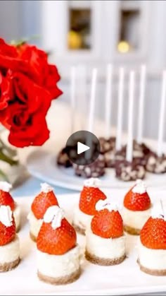 small desserts with strawberries and whipped cream sit on a white plate next to red roses