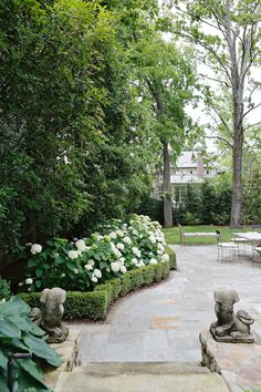 a garden with white flowers and bushes in the center, surrounded by stone steps leading to an outdoor dining area