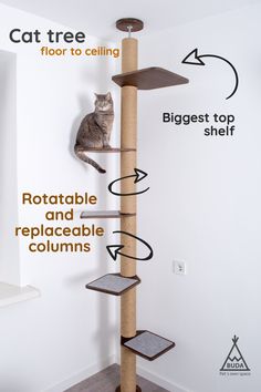 a cat sitting on top of a tall scratching pole with instructions to climb it up