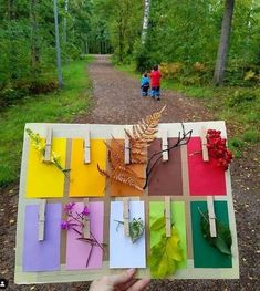 a person holding up a piece of paper with leaves and flowers on it in the woods