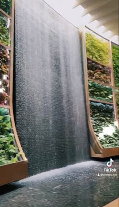 an indoor water feature with plants growing on it