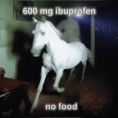 a white horse standing in the middle of a room with words on it that say, 600mg iuproffen no food