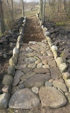 a stone path is lined with trees and rocks