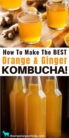 how to make delicious orange and ginger kombucha drink with lemons, ginger, ginger syrup, and ginger juice