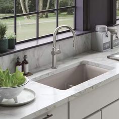 a kitchen sink and window with plants in the bowl on the counter next to it