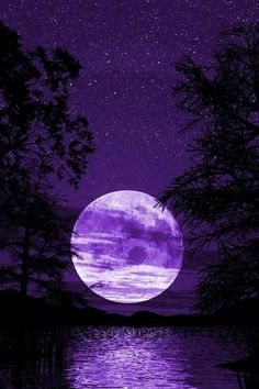 the full moon is reflected in water with trees around it and purple hues on the sky