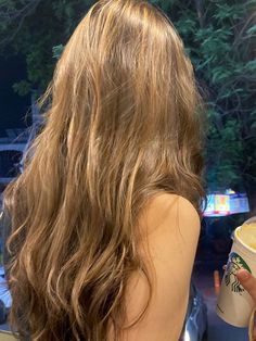 Light Brown Hair Shades, Brown Hair Inspiration, Brown Wavy Hair, Rambut Brunette, Honey Brown Hair, Hair Color Light Brown, Honey Hair