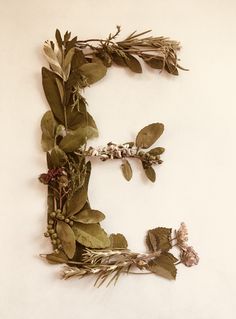 the letter e is made up of leaves and twigs