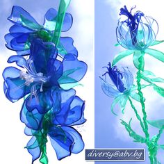 three pictures of blue and green flowers in water