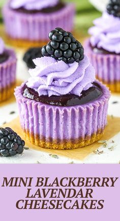 some cupcakes with purple frosting and blackberries on top