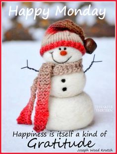 a snowman wearing a knitted hat and scarf