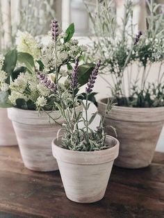 three potted plants sitting on top of a wooden table