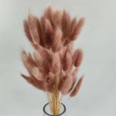 some pink flowers in a glass vase on a table