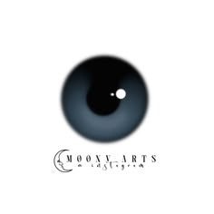 an eyeball with the words moon arts on it